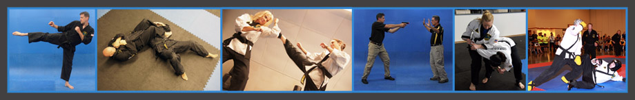 Top Form Online Karate